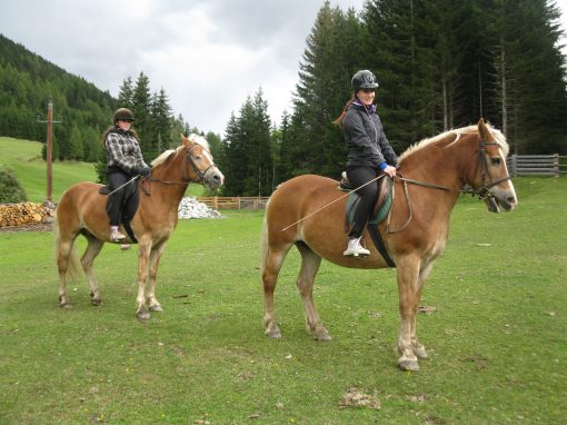 Reiten