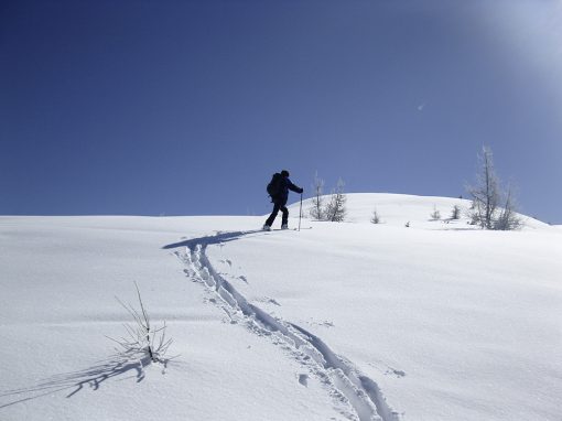 Skitouren & Schneeschuhwanderungen